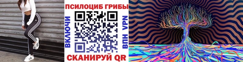 Псилоцибиновые грибы Psilocybe  Бирск 