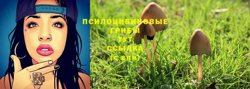 ссылка на мегу ТОР  Бирск  Псилоцибиновые грибы Magic Shrooms 