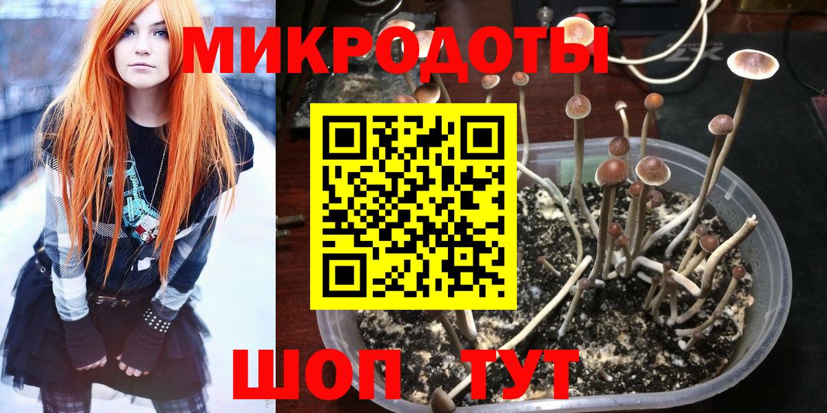 Галлюциногенные грибы ЛСД Бирск