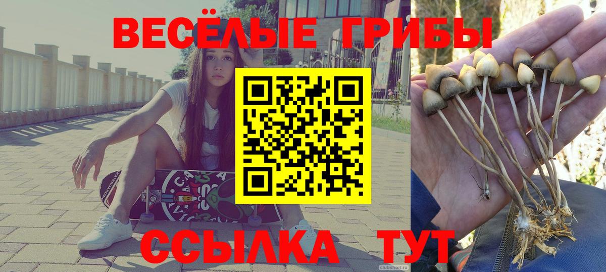 Галлюциногенные грибы Cubensis  Вход с VPN  Галлюциногенные грибы мухоморы  Бирск 