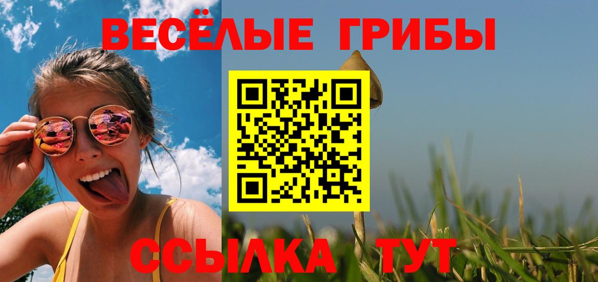 Псилоцибиновые грибы мицелий Бирск